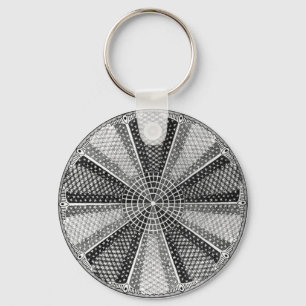 Diatom 13 Ernst Haeckel Fine Art Key Ring