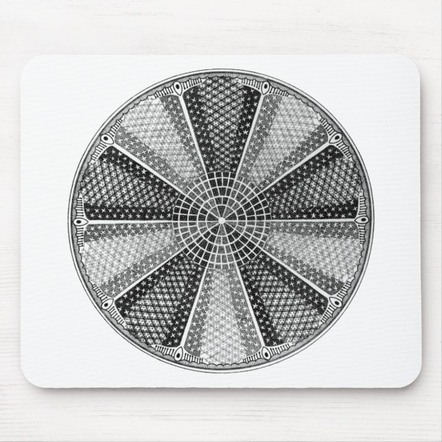 Diatom 13 Ernst Haeckel Fine Art Mouse Mat (Front)