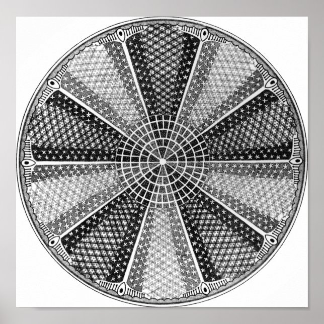 Diatom 13 Ernst Haeckel Fine Art Poster (Front)