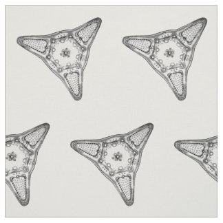 Diatom Fabric