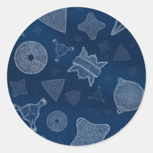 Diatoms - microscopic sea life classic round sticker