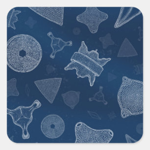 Diatoms - microscopic sea life square sticker