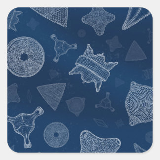 Diatoms - microscopic sea life square sticker