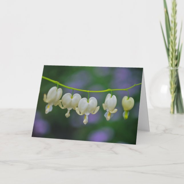 Dicentra Greeting Card (Front)