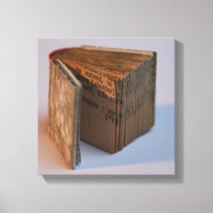 DicofrAngle English-French Miniature Book poster Canvas Print
