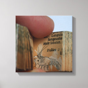 DicofrAngle Miniature Book Crayfish Drawing Canvas Print