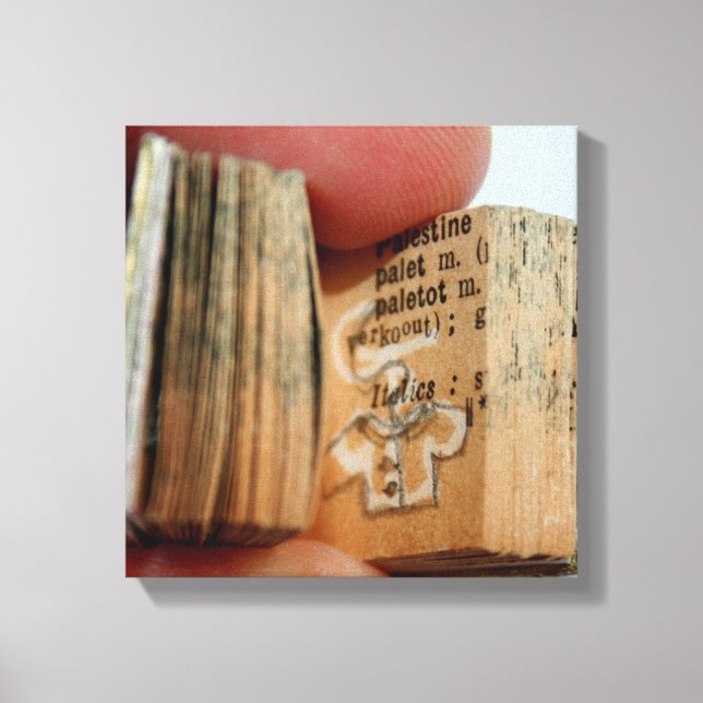 DicofrAngle Miniature Book Jacket Drawing Canvas Print (Front)