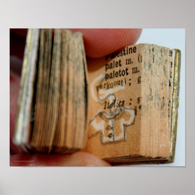 DicofrAngle Miniature Book Jacket Drawing Poster (Front)