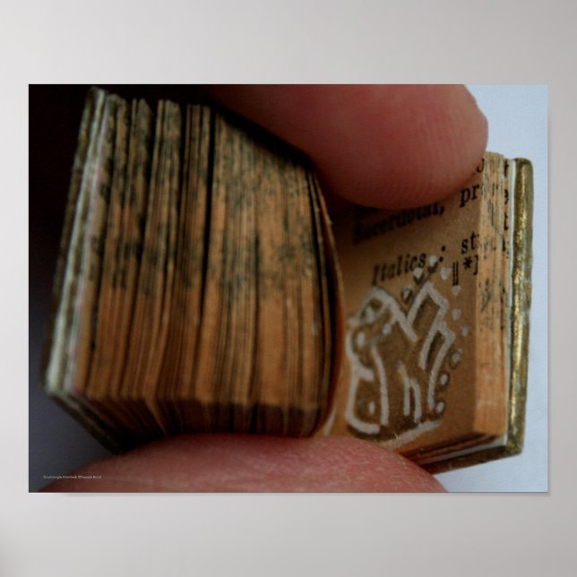 DicofrAngle Miniature Book untitled Drawing Poster (Front)