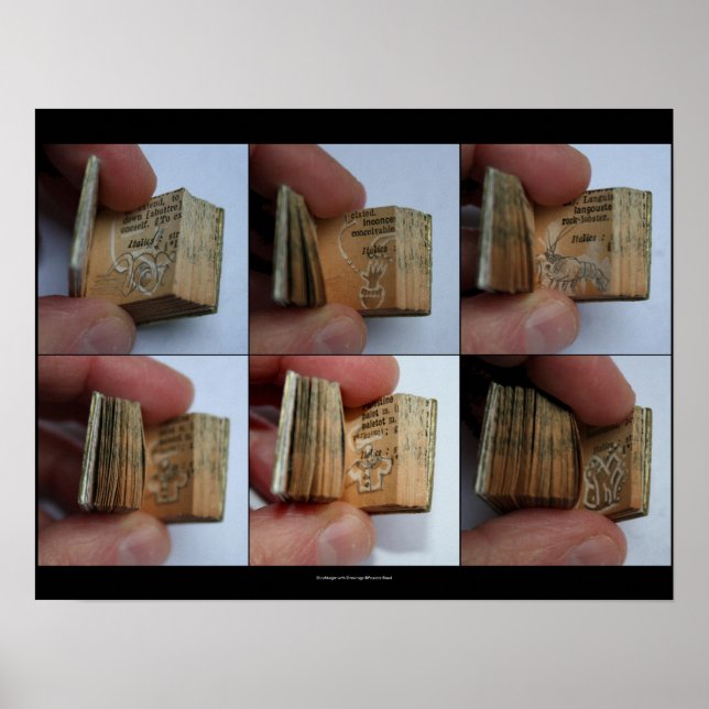 DicofrAngle Miniature Book with Drawings Poster (Front)
