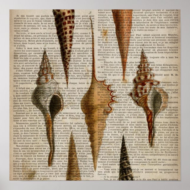 dictionary print french botanical beach seashells (Front)