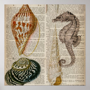 dictionary print french country vintage seashell