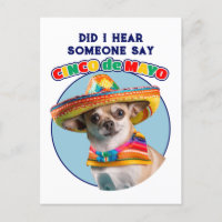 Did I Hear Cinco De Mayo Sombrero Chihuahua