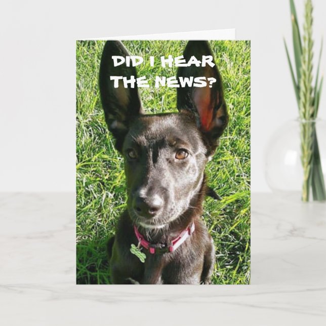 DID I 'HEAR" YOU ARE "21" BIRTHDAY CARD (Front)