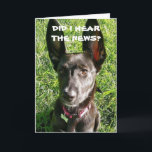 DID I 'HEAR" YOU ARE "21" BIRTHDAY CARD<br><div class="desc">THANKS FOR STOPPING BY ONE OF MY EIGHT STORES. HAPPY BIRTHDAY TO "A SPECIAL **21 YEAR OLD" AND A "CUTE LITTLE DOG WITH GREAT HEARING LOL" TOO!!!!!</div>