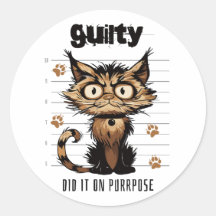 Did it on purrpose - funny cat