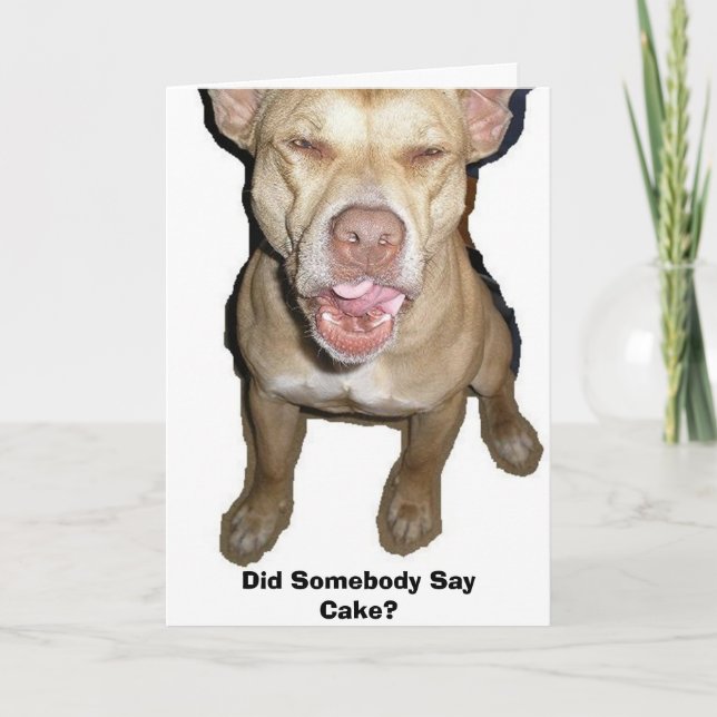 Did Somebody Say Cake? Card (Front)