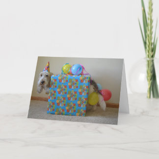 Did someone order a birthday gift? card