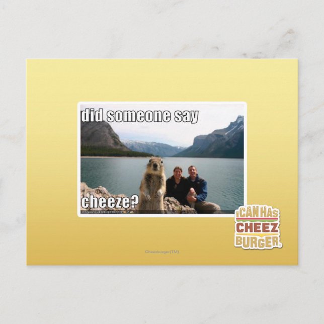 Did someone say cheeze? postcard (Front)