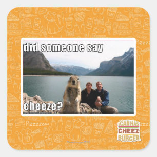 Did someone say cheeze? square sticker