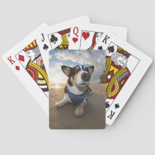 Did Someone Say Cookie? Playing Cards