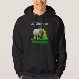 Did Someone Say Shenanigans Happy Patrick's Day Sh Hoodie