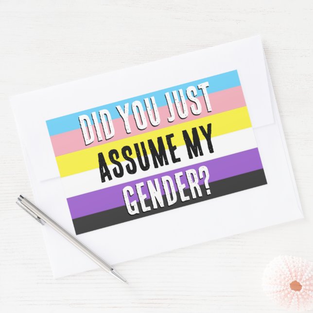 Did you Assume My Gender? Rectangular Sticker (Envelope)