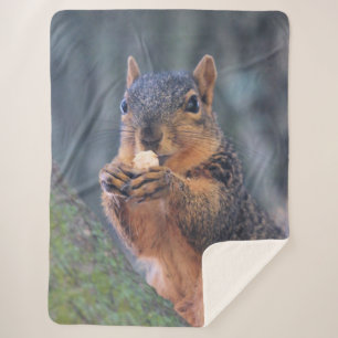 Did you bring coffee? sherpa blanket