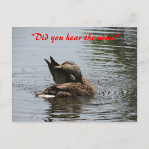 Did you Hear the News Postcard