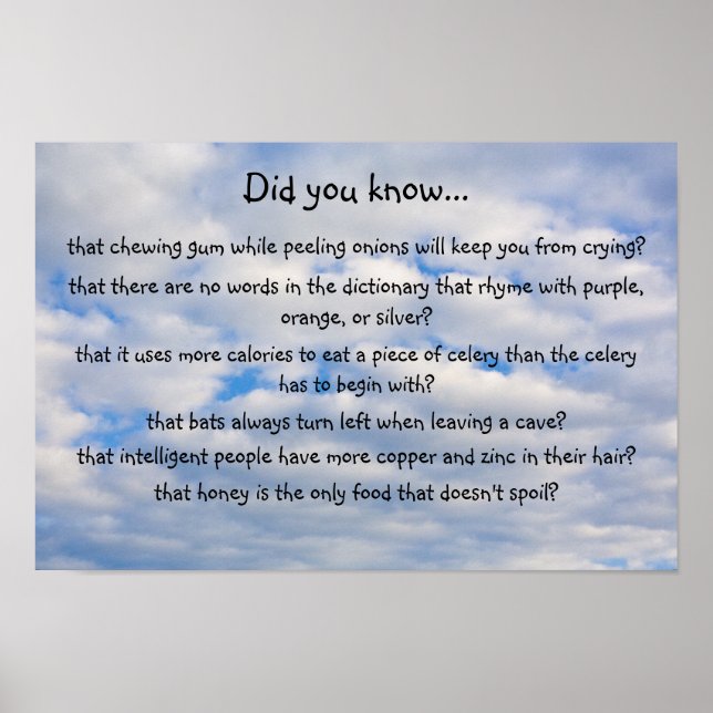 did you know? poster (Front)