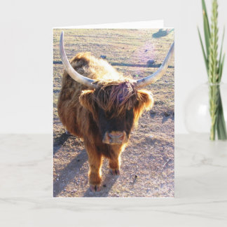 Did you say Bad Hair Day? Card