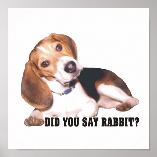 Did you Say Rabbit?  Beagle Poster (Front)