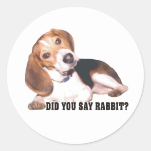 Did you Say Rabbit? Beagle Stickers