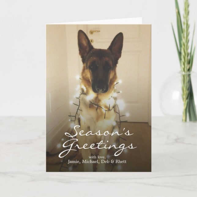 Did you say Santa Paws? Holiday Card (Front)