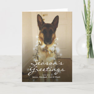 Did you say Santa Paws? Holiday Card
