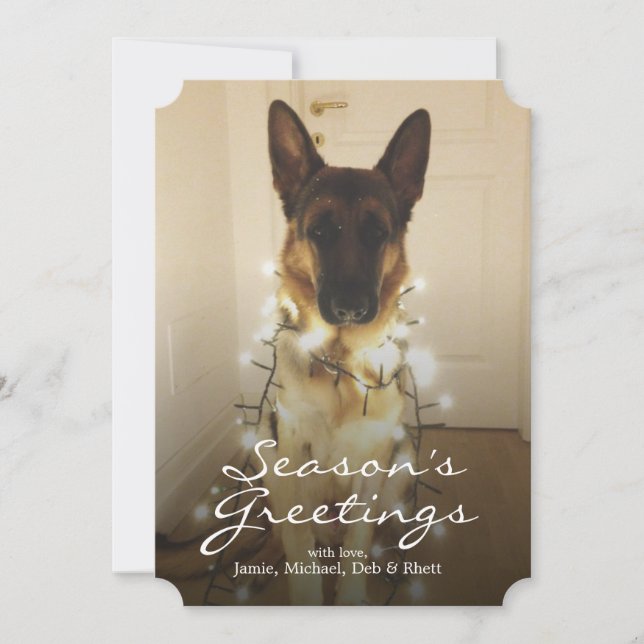 Did you say Santa Paws? Holiday Card (Front)