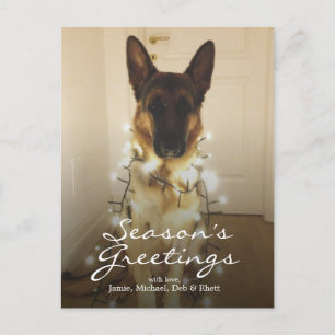 Did you say Santa Paws? Holiday Postcard