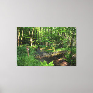 Die Brücke am Bach Canvas Print