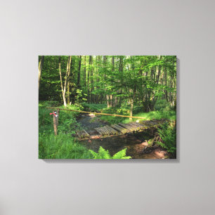 Die Brücke am Bach Canvas Print