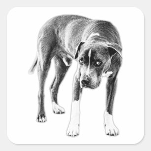 Die-Cut Look: Moody Pitbull Mix Square Sticker