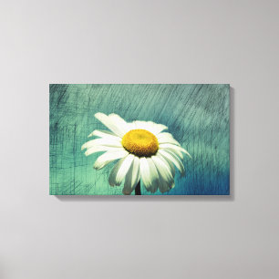 Die Margerite Canvas Print