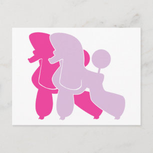 Die pinken Pudel Postcard