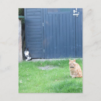 Die Wächter Postcard