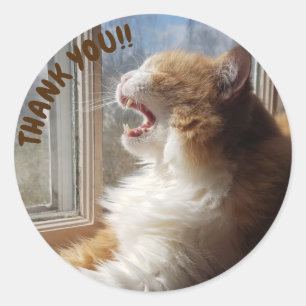 Diego the Cat Thank You Sticker