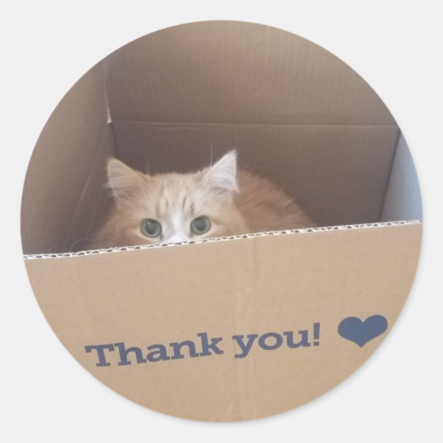 Diego the Cat Thank You Sticker (Front)