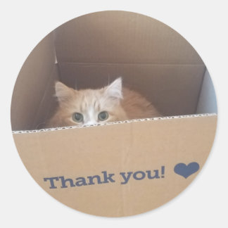Diego the Cat Thank You Sticker