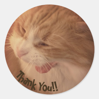 Diego the Cat Thank You Stickers