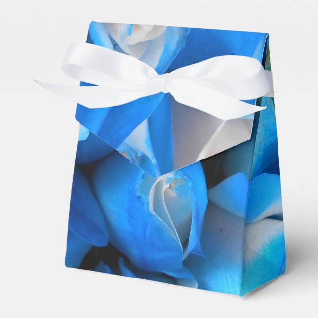 Diemudis Favour Box (Front Side)