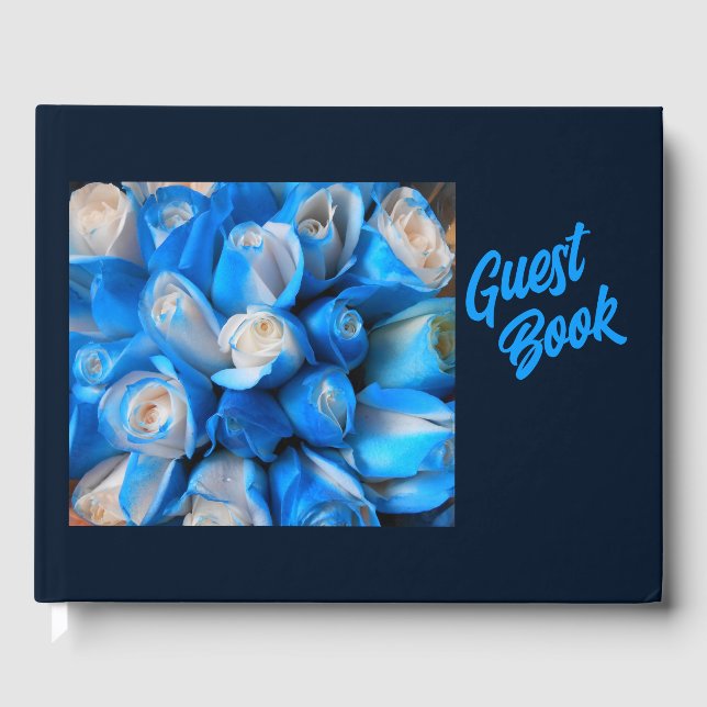 Diemudis Guest Book (Front)