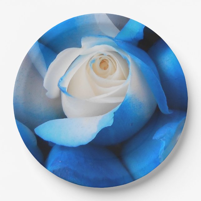 Diemudis Paper Plate (Front)